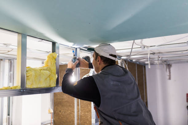 Types of Insulation We Offer in Aristocrat Ranchettes, CO